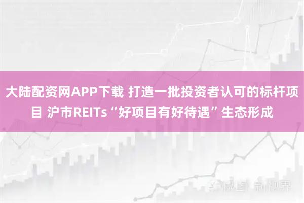 大陆配资网APP下载 打造一批投资者认可的标杆项目 沪市REITs“好项目有好待遇”生态形成