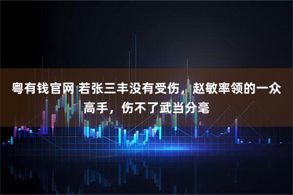 粤有钱官网 若张三丰没有受伤，赵敏率领的一众高手，伤不了武当分毫